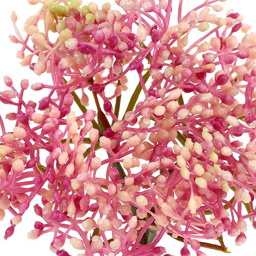 Floristik24 Elderflower branch pink-white L 55cm 4st
