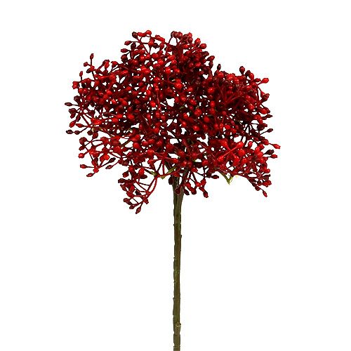 Floristik24 Elderflower gren röd 55cm 4st