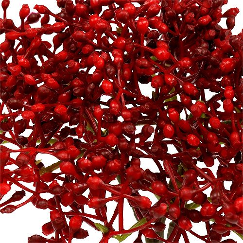 Floristik24 Elderflower gren röd 55cm 4st