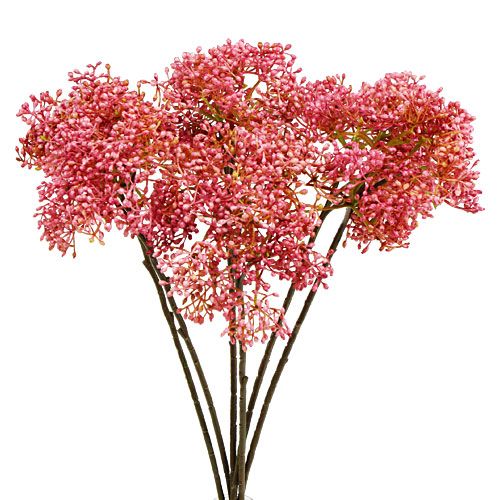 Elderflower gren rosa 54,5 cm 4st