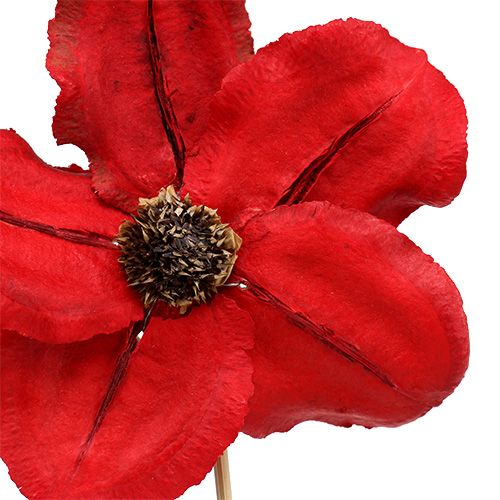 Artikel Träblomma som plugg röd Ø9cm - 12cm L45cm 15 st