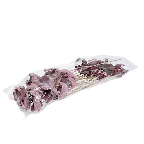 Artikel Träblomma, palmbägare mix rosa-erika 25 st
