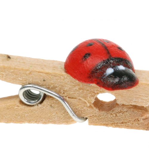 Artikel Dekorativa träklämmor nyckelpigor 2,5cm 180 st