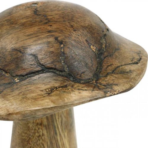 Floristik24 Träsvamp med mönster deco svamp naturell, gyllene trä deco Ø10cm H13cm