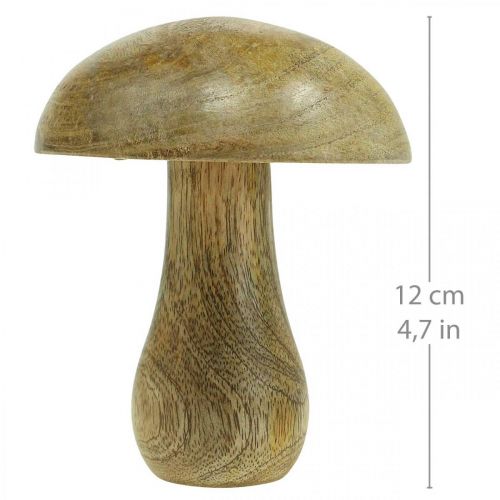 Floristik24 Träsvamp naturell, gul höstdeco träsvamp 12×10cm