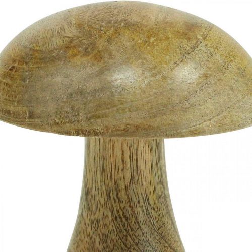Floristik24 Träsvamp naturell, gul höstdeco träsvamp 12×10cm