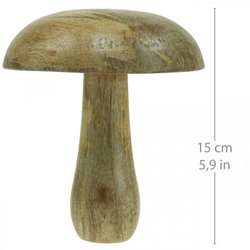 Floristik24 Träsvamp natur, gul trädekoration höstdeco svamp 15×13cm