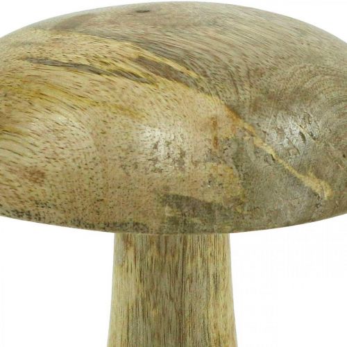 Floristik24 Träsvamp natur, gul trädekoration höstdeco svamp 15×13cm