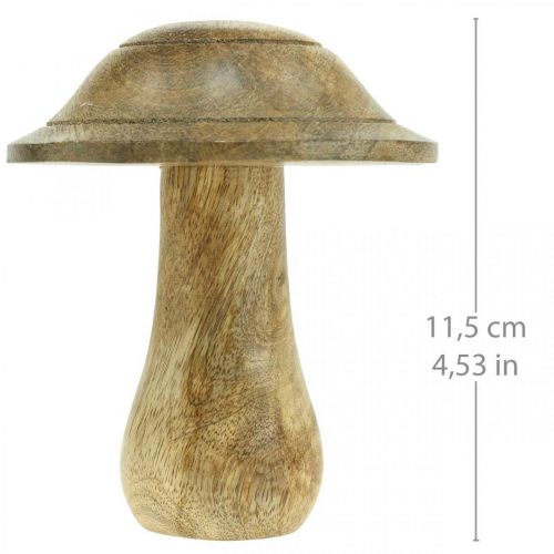 Artikel Träsvamp med räfflor trädekoration svamp mangoträ naturlig 11,5ר10cm