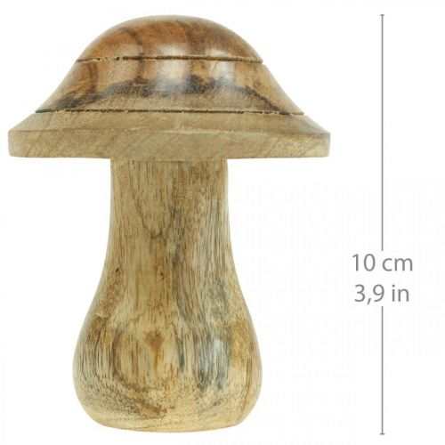 Artikel Träsvamp med räfflor Höstdeco-svamp naturligt mangoträ 10ר8cm
