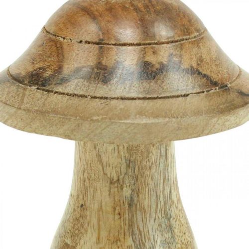 Artikel Träsvamp med räfflor Höstdeco-svamp naturligt mangoträ 10×Ø8cm