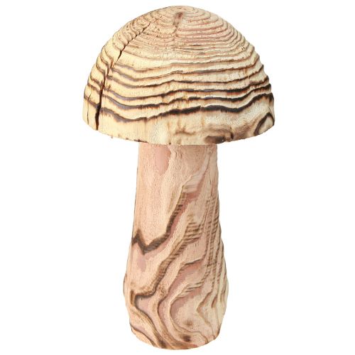 Artikel Träsvamp för stående dekorativ svampträ Paulownia Ø15cm H28cm
