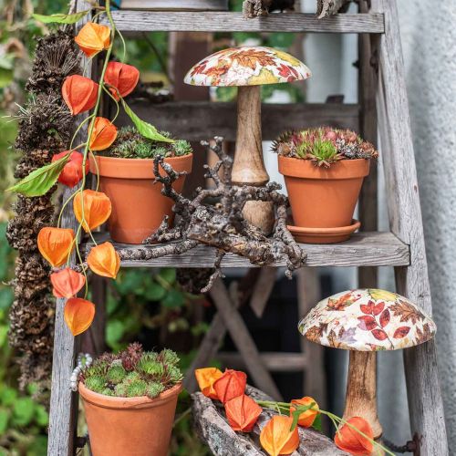 Floristik24 Träsvamp deco höstlöv vita, färgglad höstdekoration Ø13cm H19cm