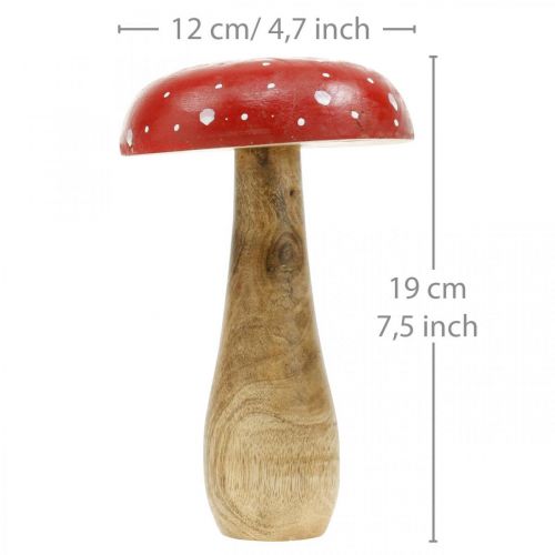 Floristik24 Flugsvamp trä deco svamp höst Ø12cm H19cm