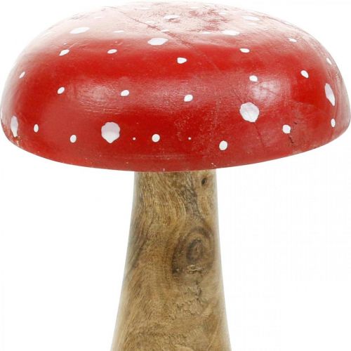 Floristik24 Flugsvamp trä deco svamp höst Ø12cm H19cm