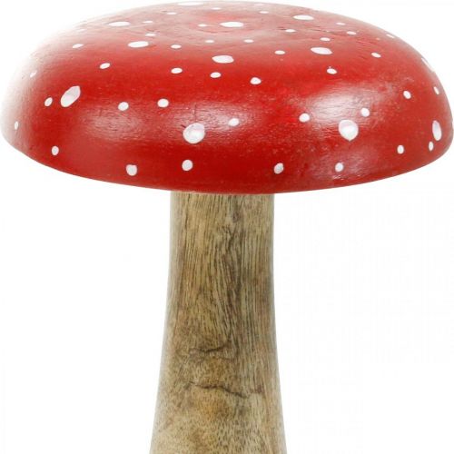 Floristik24 Flugsvamp trä stor höstdekorationssvamp Ø14cm H24cm