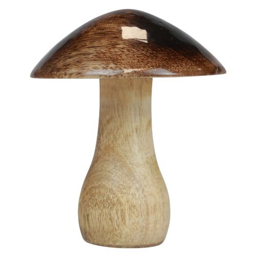 Floristik24 Träsvampdekoration naturlig brun glanseffekt Ø10cm H12cm