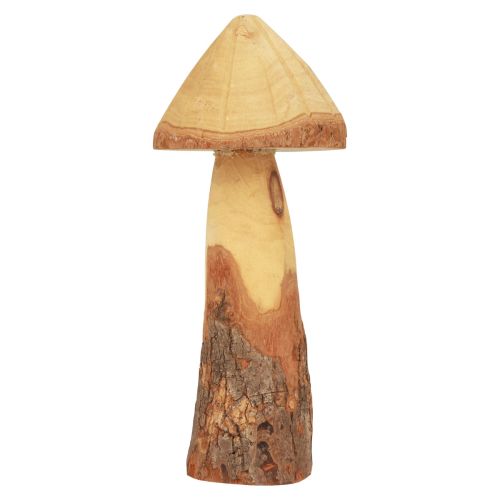 Floristik24 Träsvamp dekoration svamp trädekoration naturlig bordsdekoration höst Ø11cm H28cm