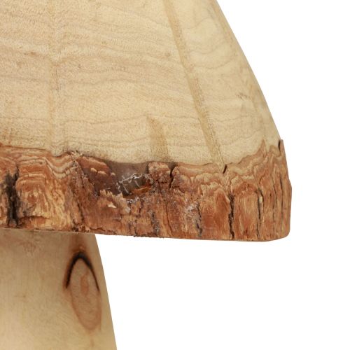 Floristik24 Träsvamp dekoration svamp trädekoration naturlig bordsdekoration höst Ø14cm H36cm
