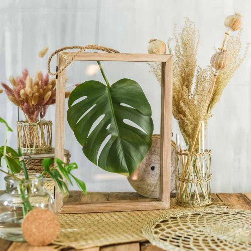 Floristik24 Träram för fyllning, DIY, herbarium, väggdekoration att hänga 38 × 28cm