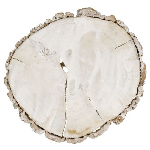 Floristik24 Träskiva tvättad vit 13cm - 15cm 2st