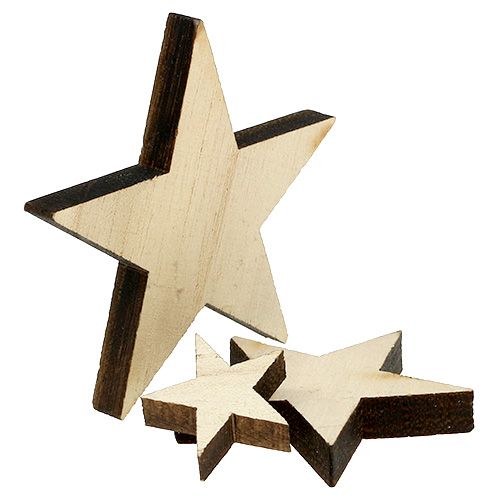 Floristik24 Trästjärnor 2,5cm -7cm natur 48 st