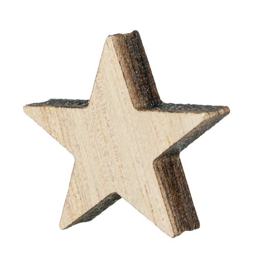 Floristik24 Julträstjärnor mix natur 2,5cm - 7,5cm 40st