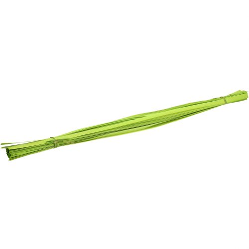 Floristik24 Trälister fjädergröna 95cm - 100cm 50 st
