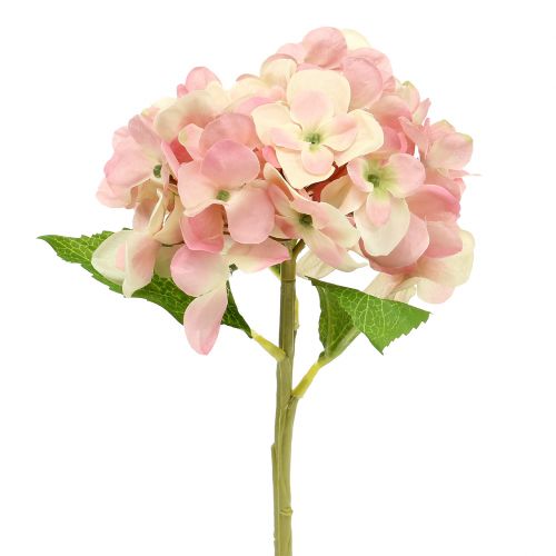 Floristik24 Hortensia rosa, kräm 36cm