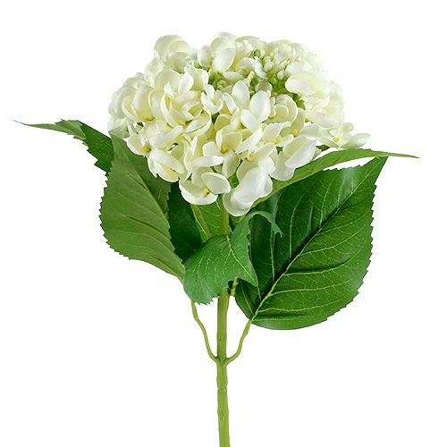 Floristik24 Hortensia 60cm vit