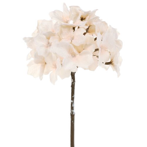 Floristik24 Iced hortensia kräm 49cm