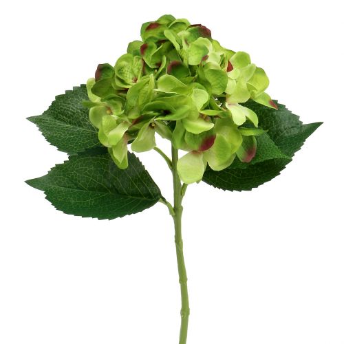 Floristik24 Hortensia grön konstgjord för dekoration L54cm