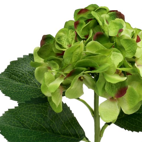 Floristik24 Hortensia grön konstgjord för dekoration L54cm