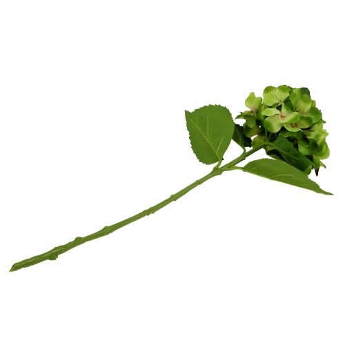 Floristik24 Hortensia grön konstgjord för dekoration L54cm