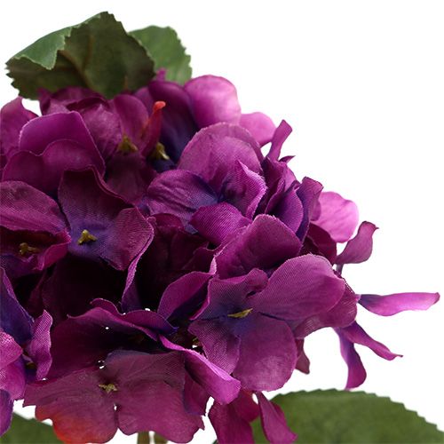 Floristik24 Hortensia lila 30 cm 3st