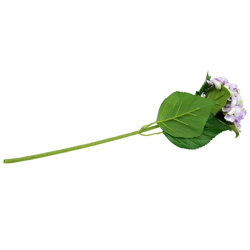 Floristik24 Hortensia lila-vit 60cm