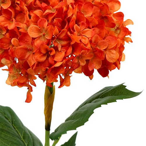 Floristik24 Hortensia orange 80 cm 1p