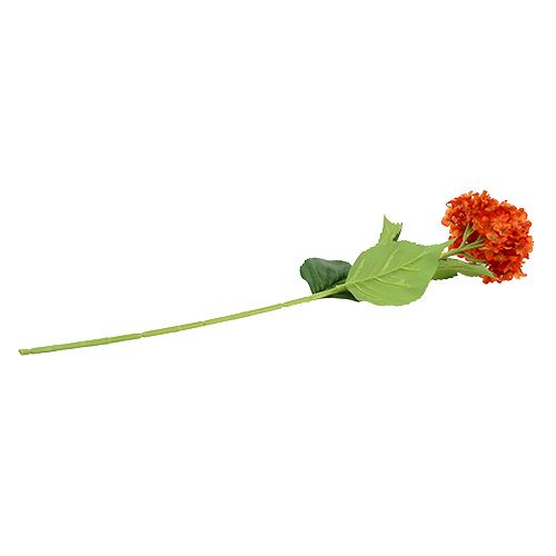 Floristik24 Hortensia orange 80 cm 1p