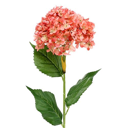 Floristik24 Hortensia rosa 80cm 1st