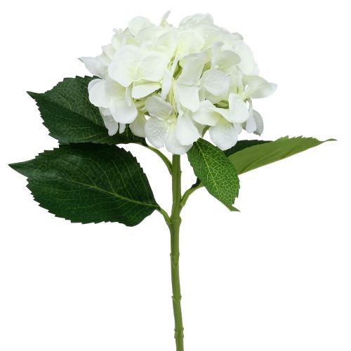 Floristik24 Hortensia vit L54cm 1p