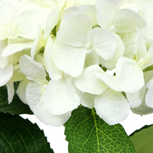 Floristik24 Hortensia vit L54cm 1p