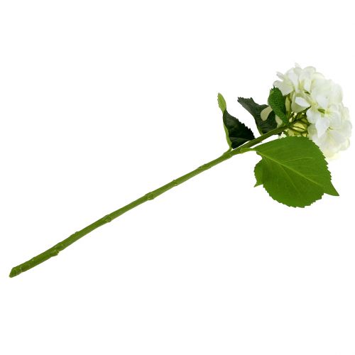Floristik24 Hortensia vit L54cm 1p