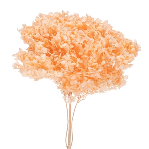 Torkad hortensiabukett för eleganta blomsterdekorationer hemma, 65 cm