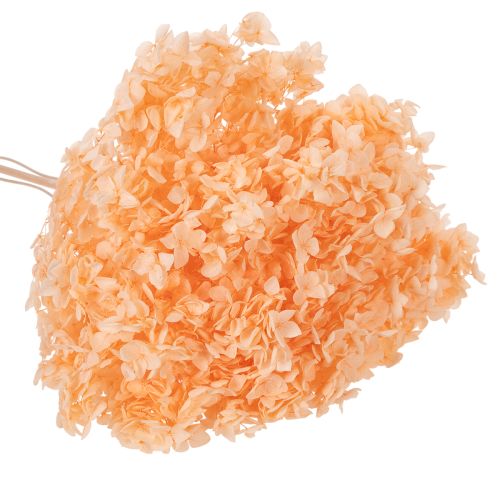 Artikel Torkad hortensiabukett för eleganta blomsterdekorationer hemma, 65 cm