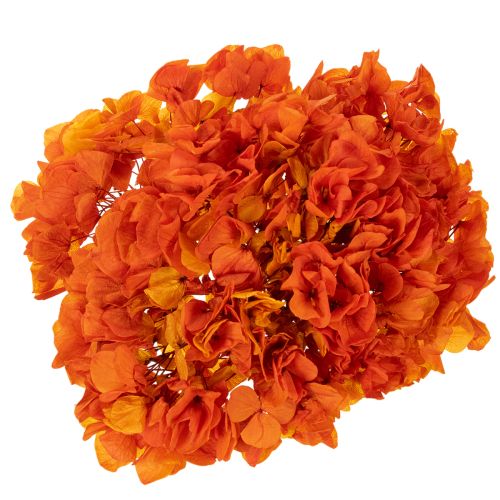 Hortensia, konserverad och färgad, stor blomning med lång stjälk, 60 cm | Floristik24.se