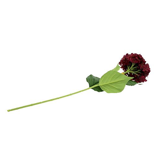 Floristik24 Hortensia konstgjord mörkröd 80cm 1 st