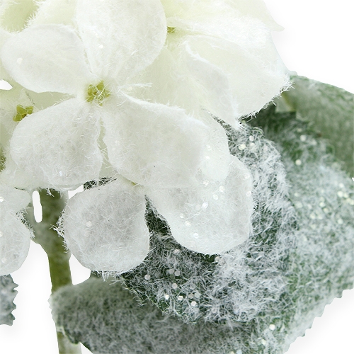 Floristik24 Hortensia vit med snöeffekt 25cm
