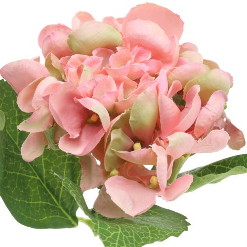 Floristik24 Hortensia rosa 33cm 1st