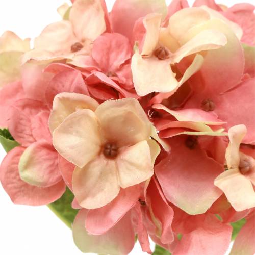 Floristik24 Hortensia beige/rosa 35cm