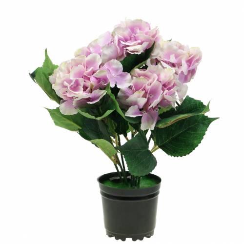 Floristik24 Silkeblommor hortensia i en kruka lila 35cm